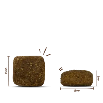 Bosch SOFT Land-Ente & Kartoffel 2,5kg
